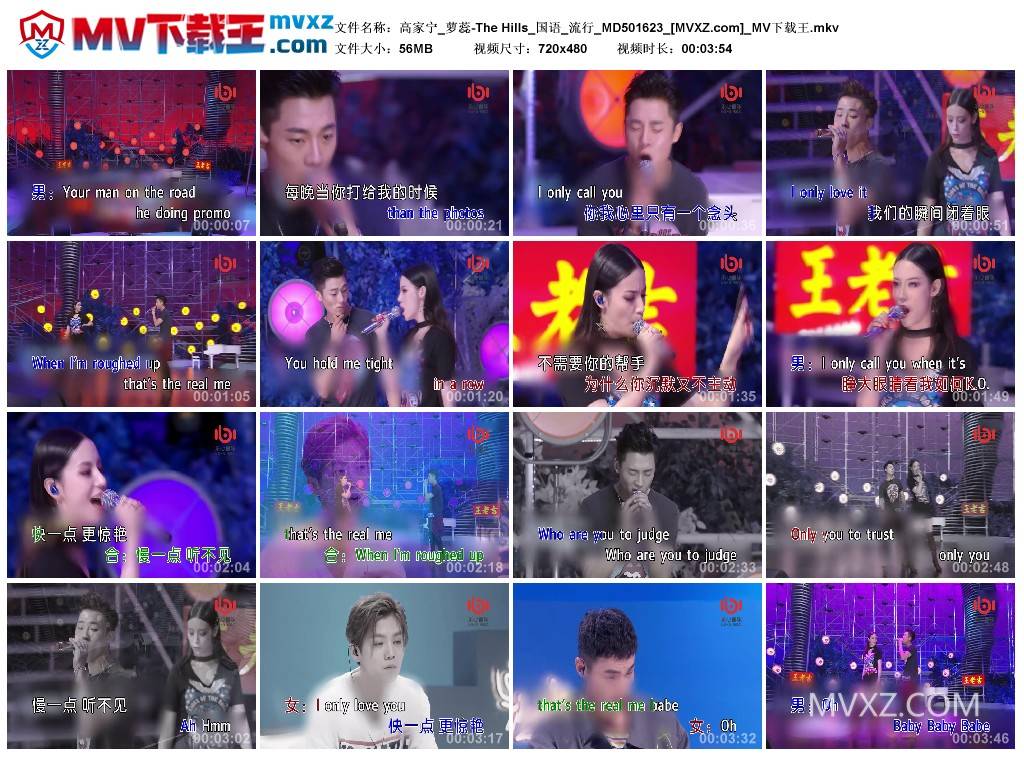 高家宁_萝蕊-The Hills_国语_流行_MD501623